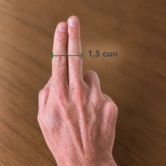 Ilustração da referência 1,5 cun : A largura do indicador e do médio juntos.