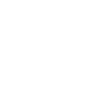 ZN Wellness Logo